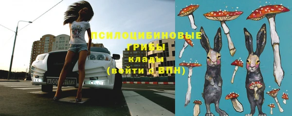 индика Заводоуковск